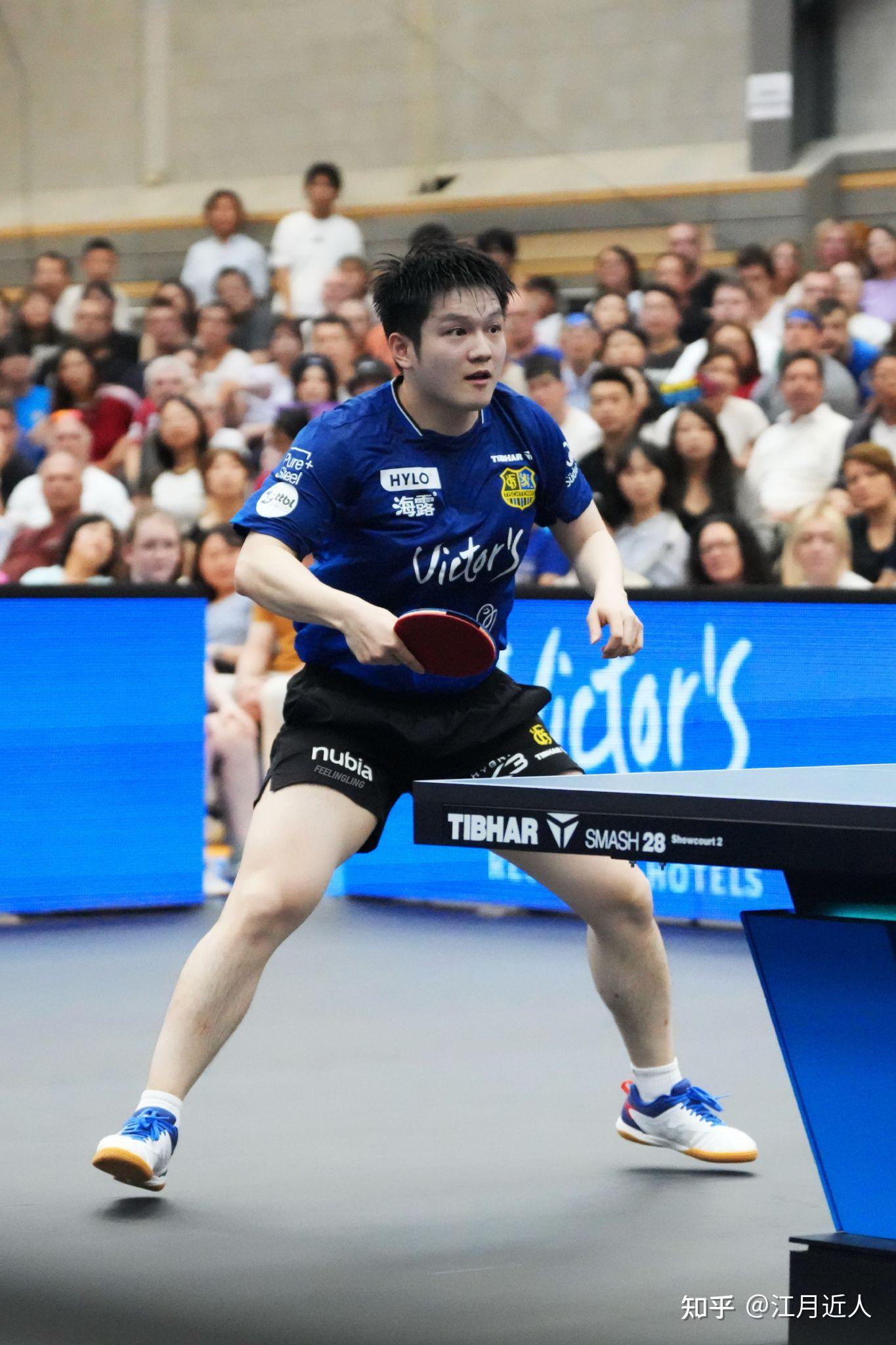 日本乒乓球队轻取德国乒乓球队,樊振东绝境逆转的简单介绍 日本乒乓球队轻取德国乒乓球队,樊振东绝境逆转的简单介绍