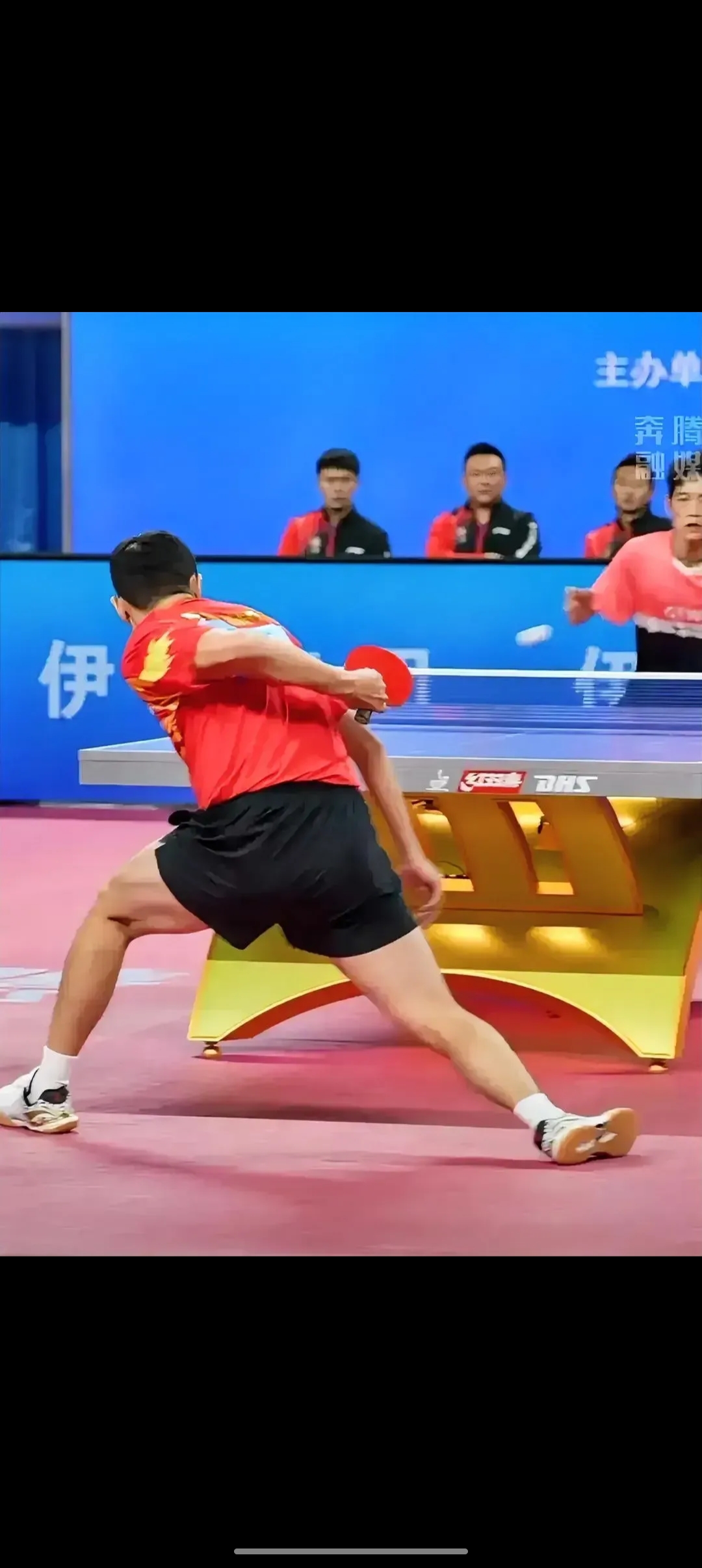 英格兰队逆转葡萄牙队，许昕高光表现