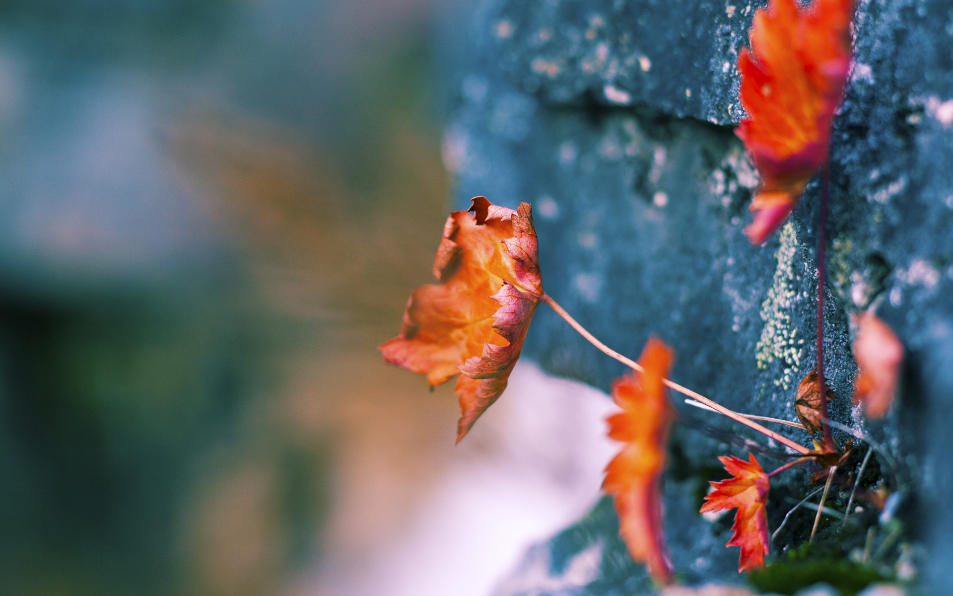 德班赛场惊现绝对统治力!中国队横扫波兰,林高远燃爆全场从技术压制到气场碾压,林高远化身烈焰席卷球台