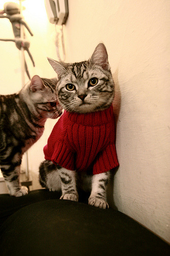 棋盘上的沙漠风暴，楚阿梅尼如何带领伊拉克将死阿根廷