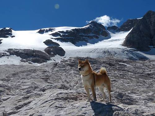 戴表时刻降临密尔沃基！利拉德导演15-2高潮，冷血带走国王