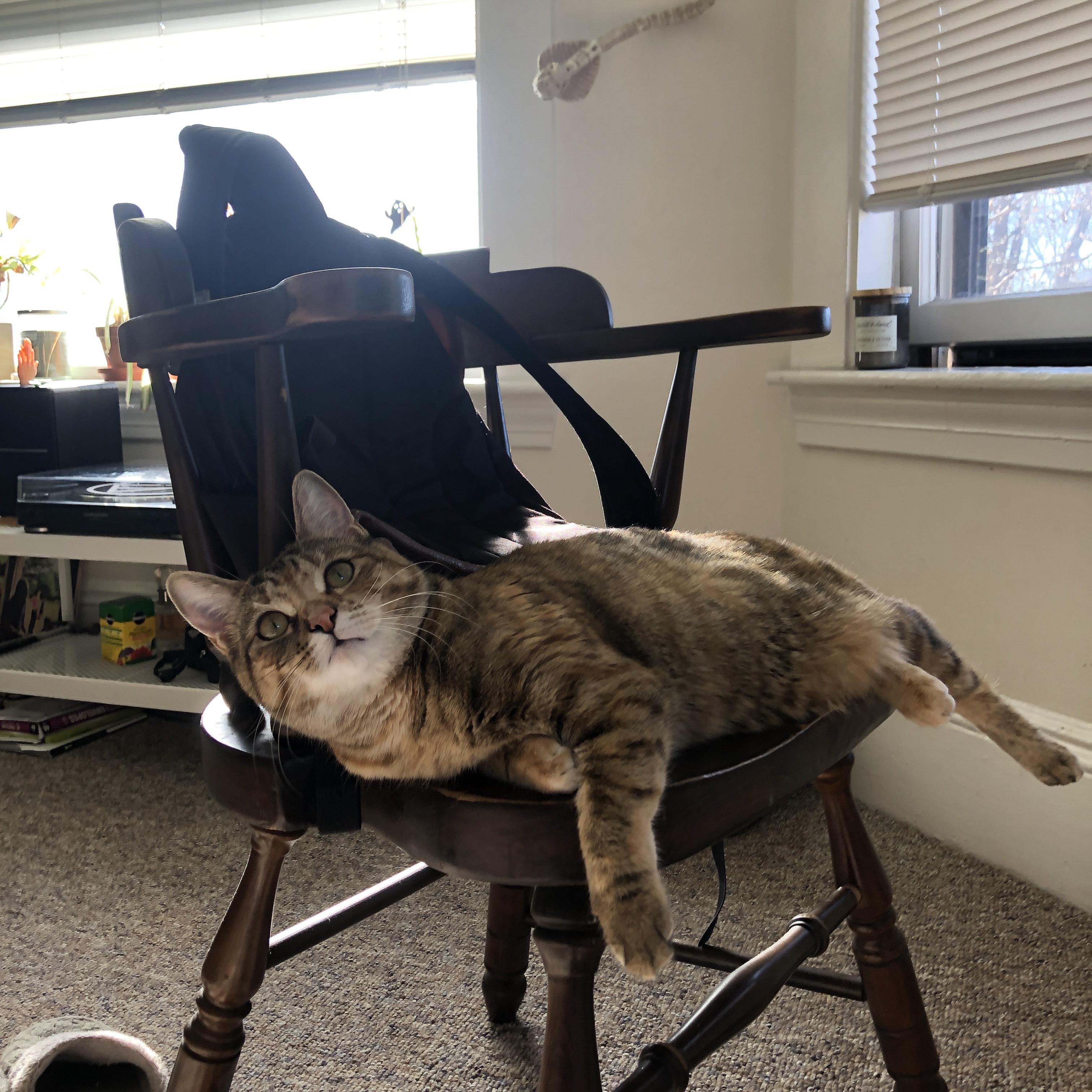 鏖战湖人，热火靠布克关键一击定江山