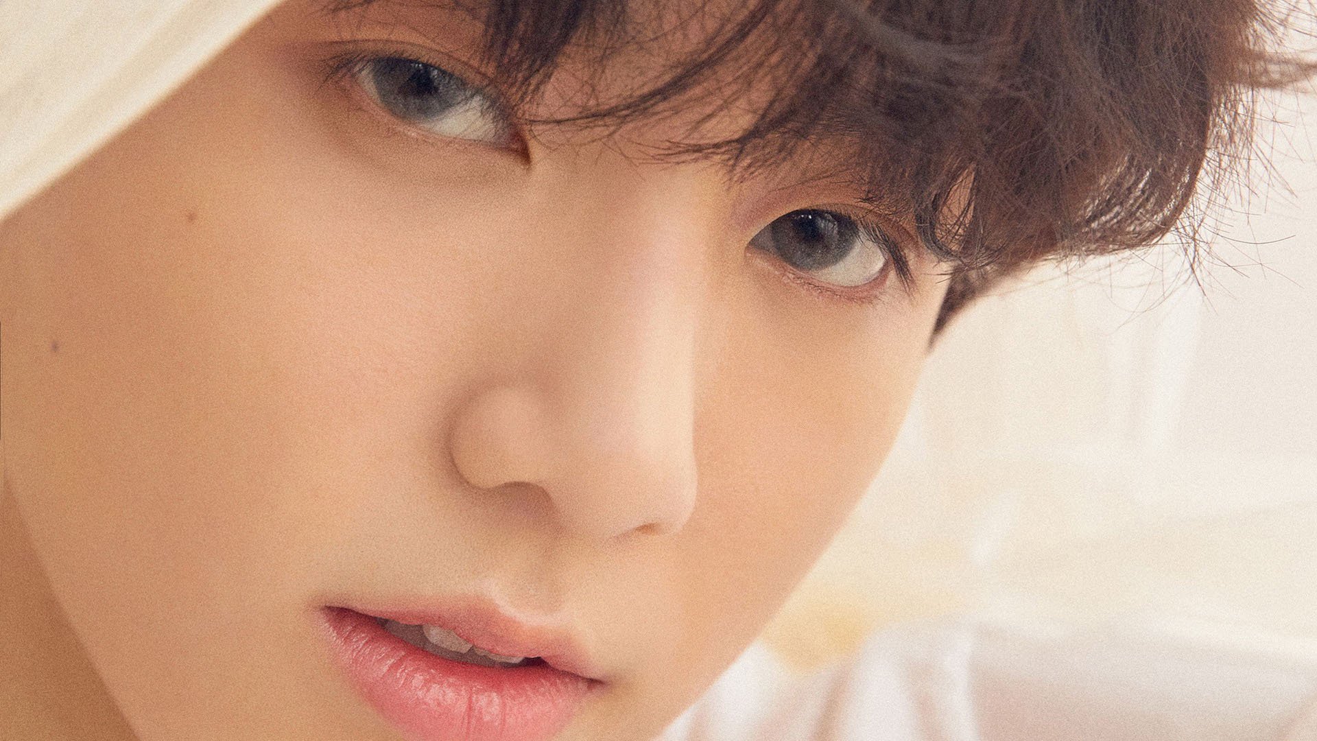 守望者的长夜，当无解马克西撕裂明尼苏达的森林