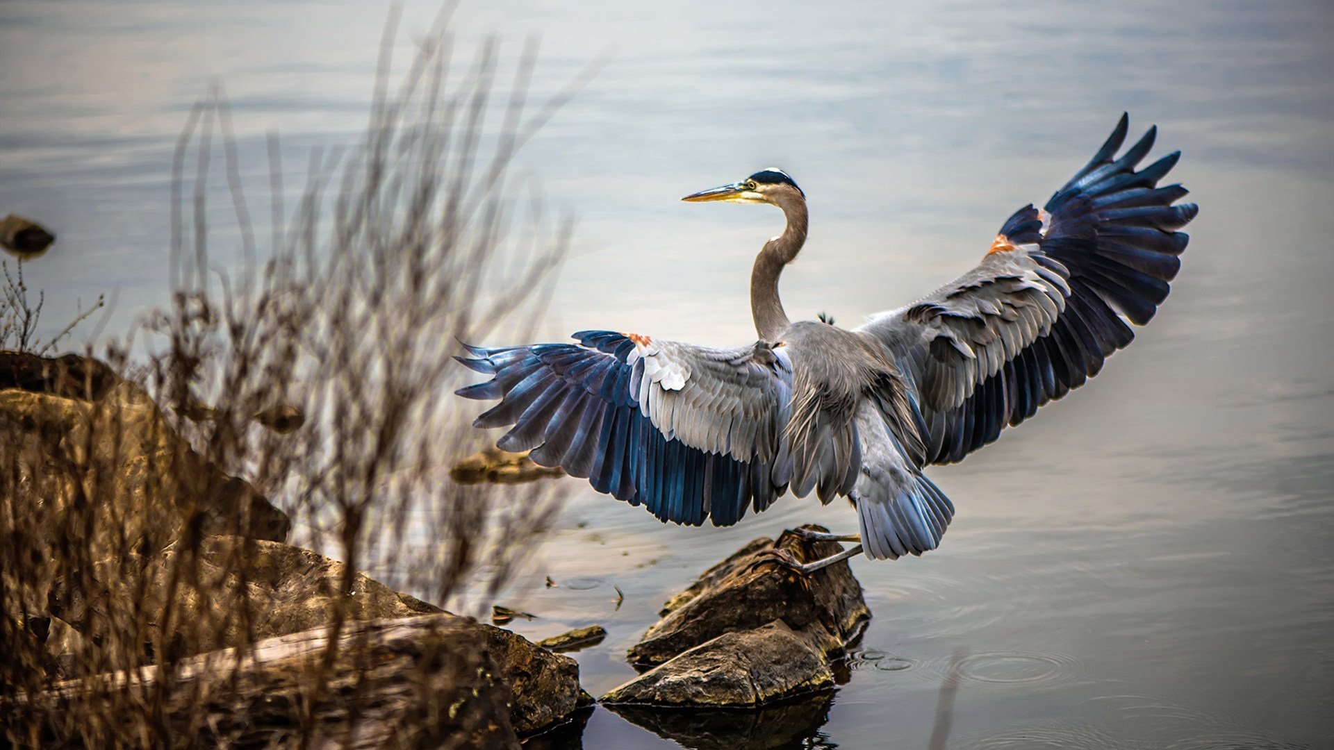 绿茵铁闸与命运逆转,巴斯托尼一夫当关,南非粉碎葡萄牙百年骄傲