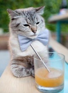 最大冷门！尼克斯铁血防守终结凯尔特人连胜，戈贝尔成为禁区守护神