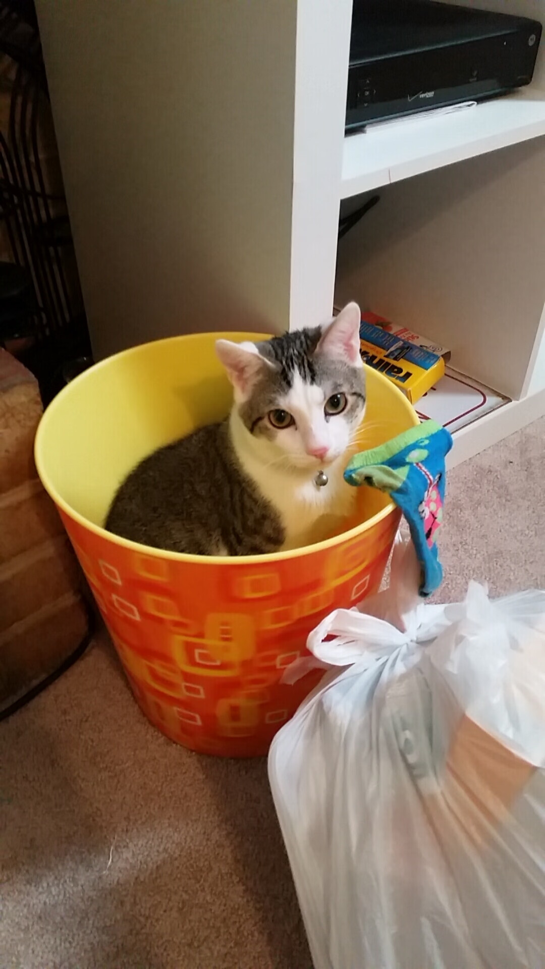 猎鹿季节，当扬尼斯式的收割降临美加墨战场