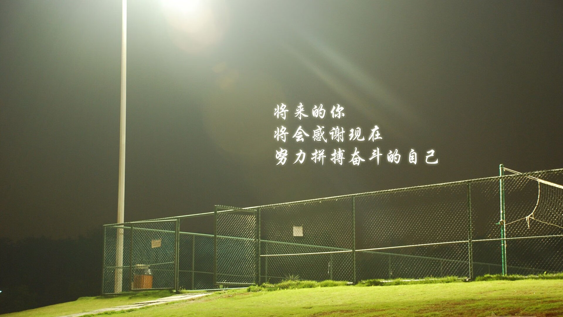 当东欧铁骑踏碎潘帕斯,2026世界杯四分之一决赛,捷克风暴与三笘薰的东方魔术