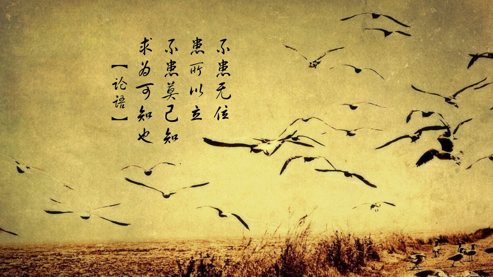 命运的弧线,2026世界杯再现神迹,格列兹曼引领沙特复仇瑞典