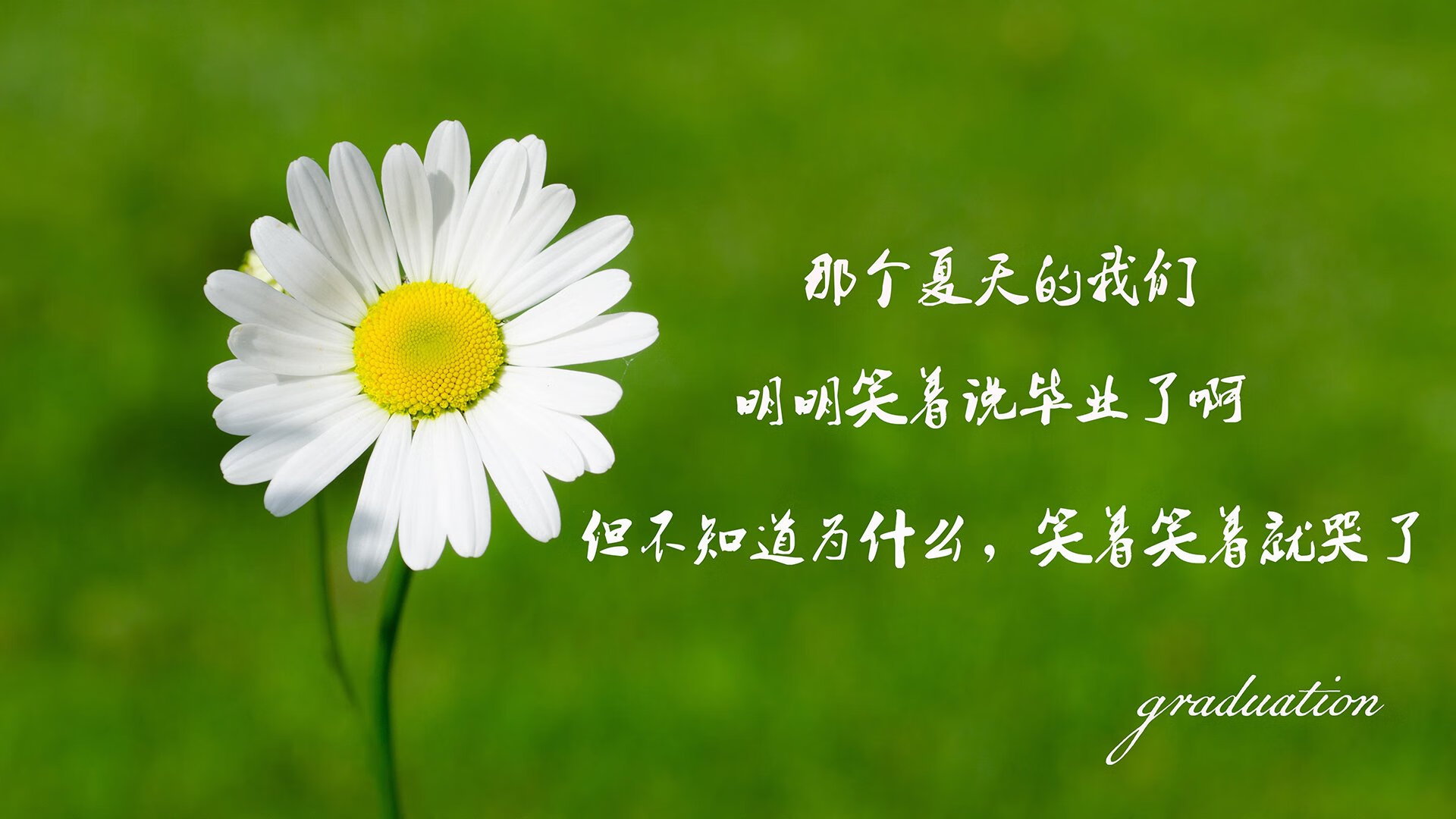 沙漠之鹰折戟塞纳河，2026世界杯半决赛，萨内一剑封喉，伊朗神话止步法兰西