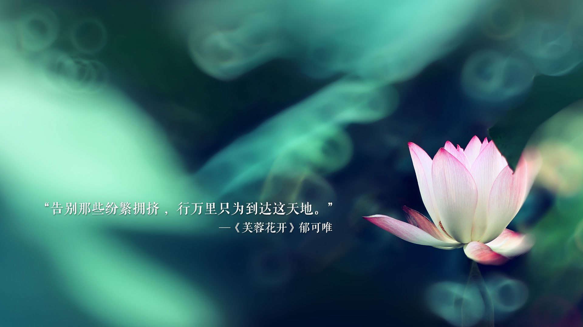 致命一击的永恒瞬间,2026世界杯G组,塔雷米让英格兰的荣耀在最后一秒崩塌