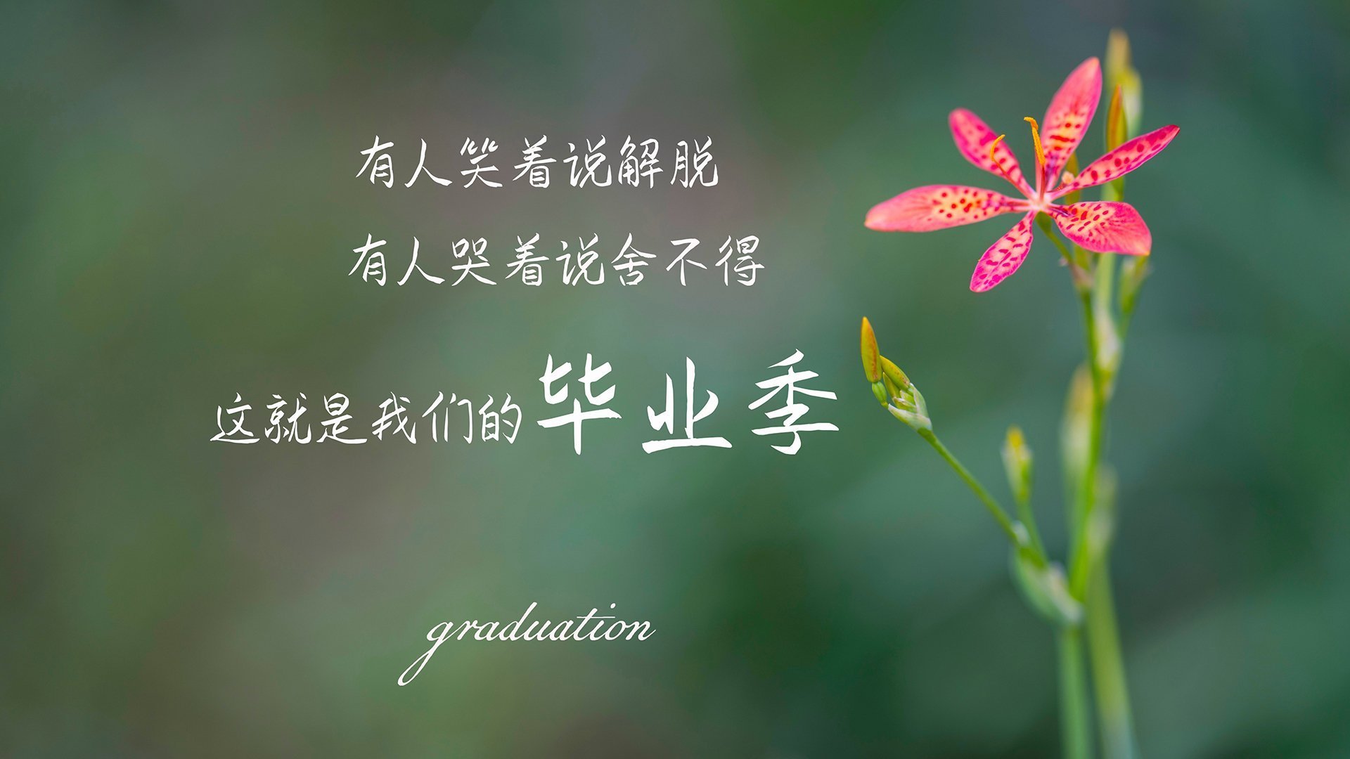 2026世界杯H组生死战,伊朗史诗级大胜美国,加维独舞点亮冷门之夜